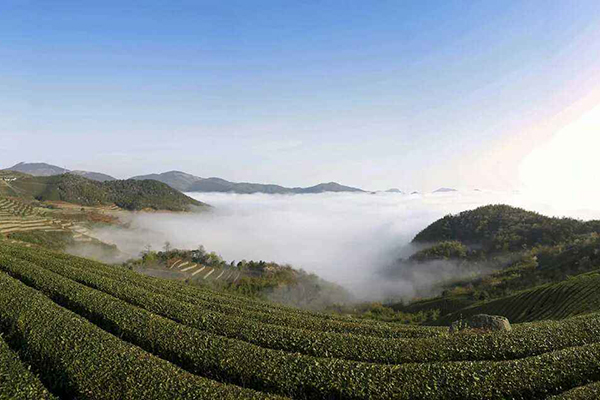 尚田茶山